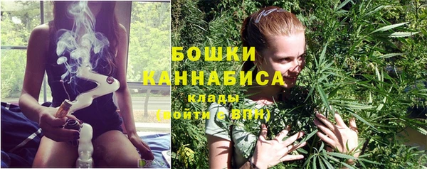 apvp Богданович