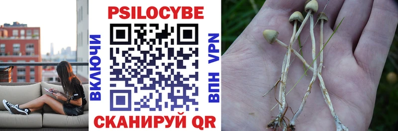 Псилоцибиновые грибы мухоморы  как найти наркотики  Прокопьевск 